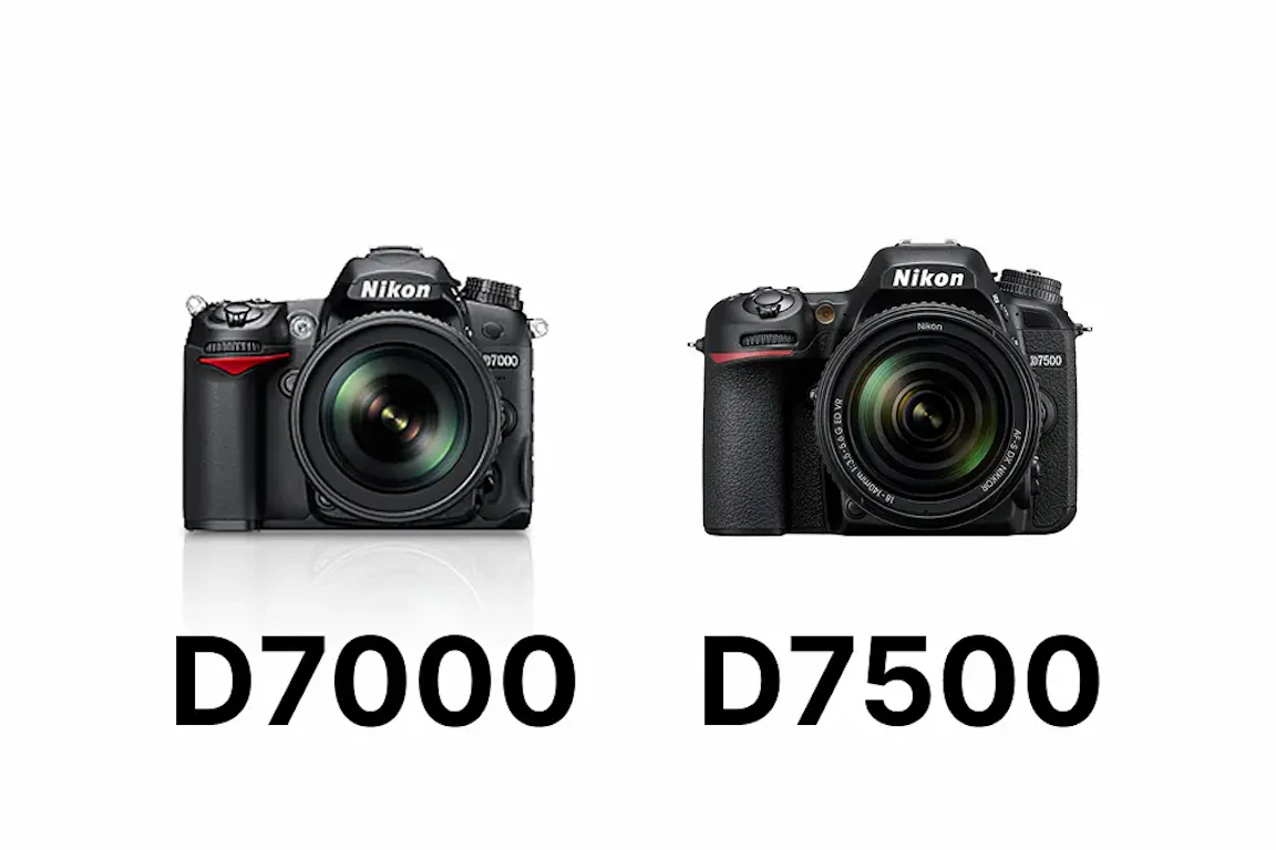 Nikon D7000とD7500を徹底比較！画質・AF・動画・操作性の違いと選び方